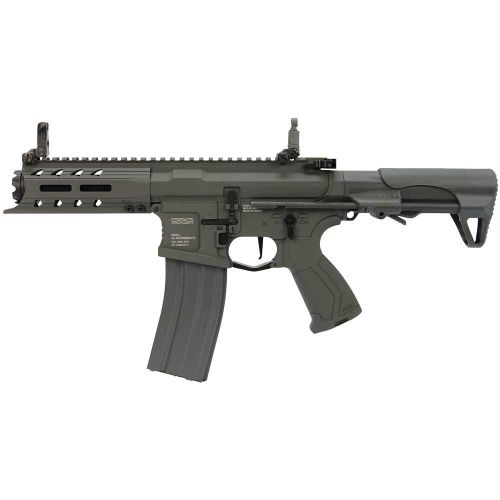 GAG454031